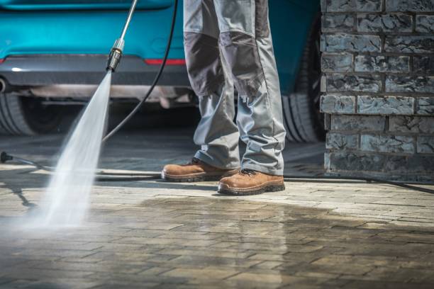 Best Animal Enclosure Cleaning  in Polo, IL